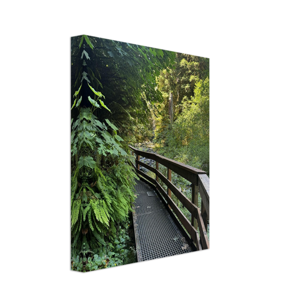 Nature's Voice - Wall Art Canvas