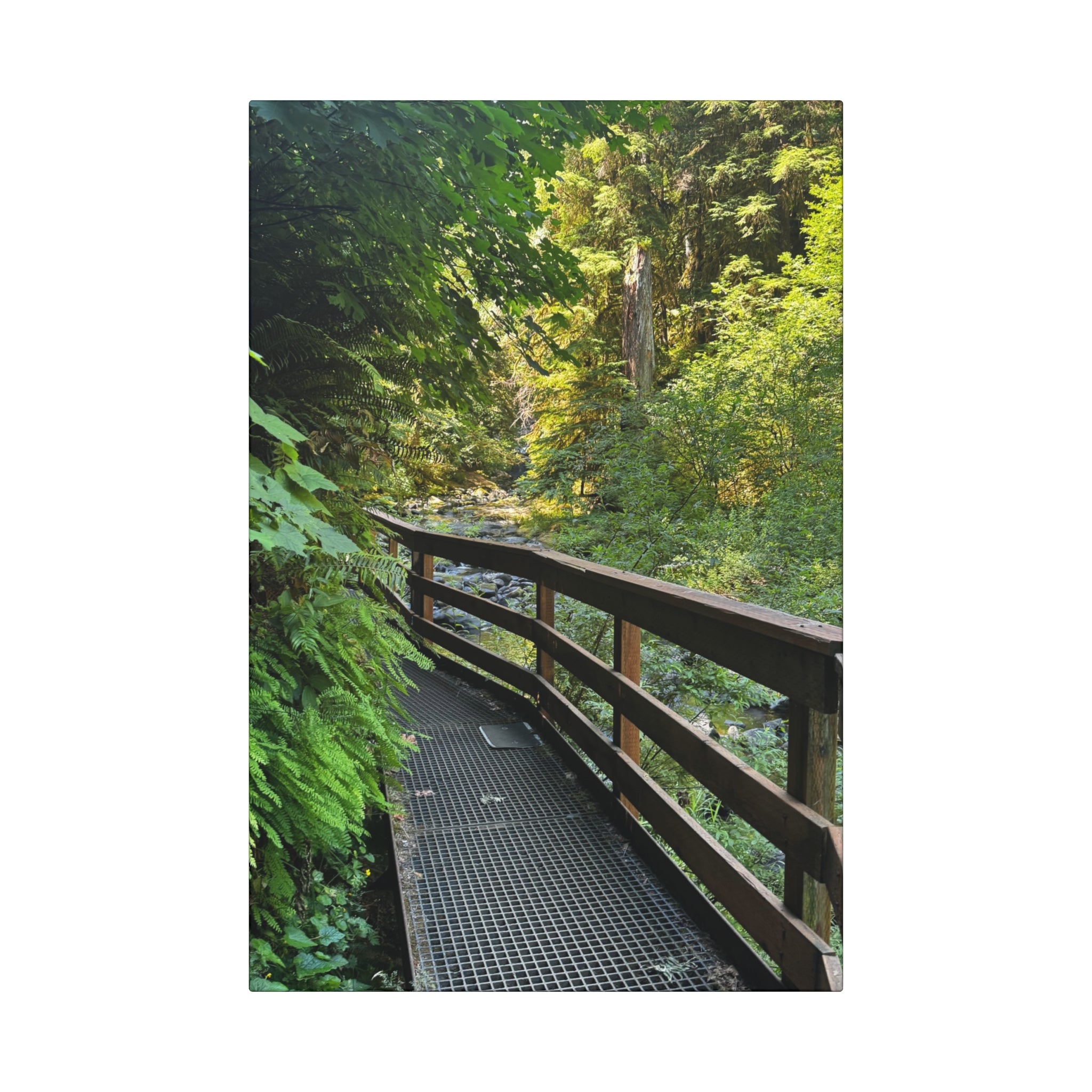 Nature's Voice - Wall Art Canvas