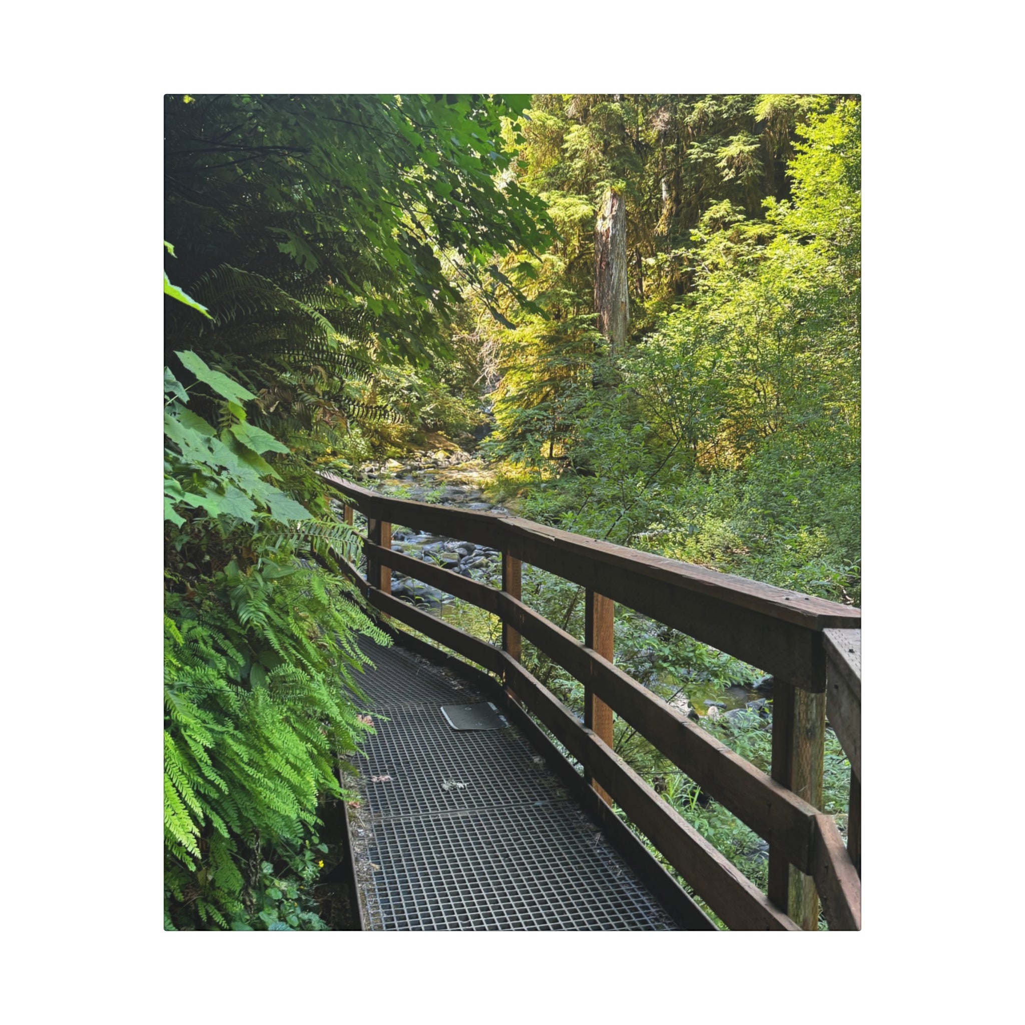 Nature's Voice - Wall Art Canvas